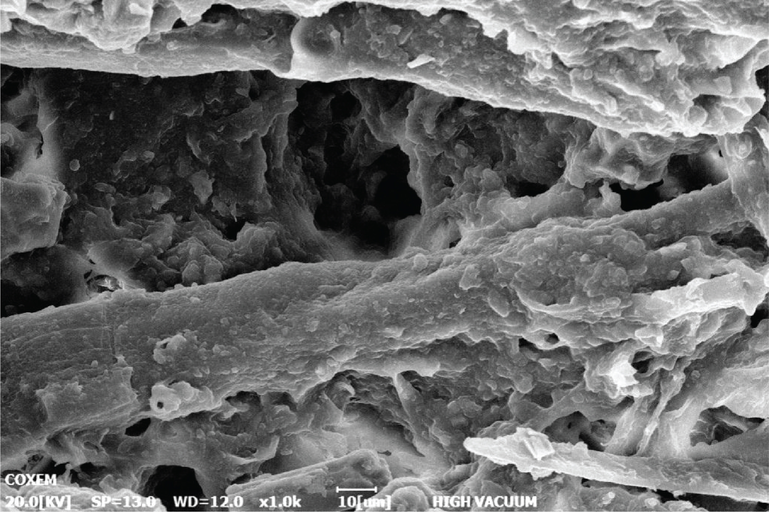 Table-top Scanning Electron Microscope