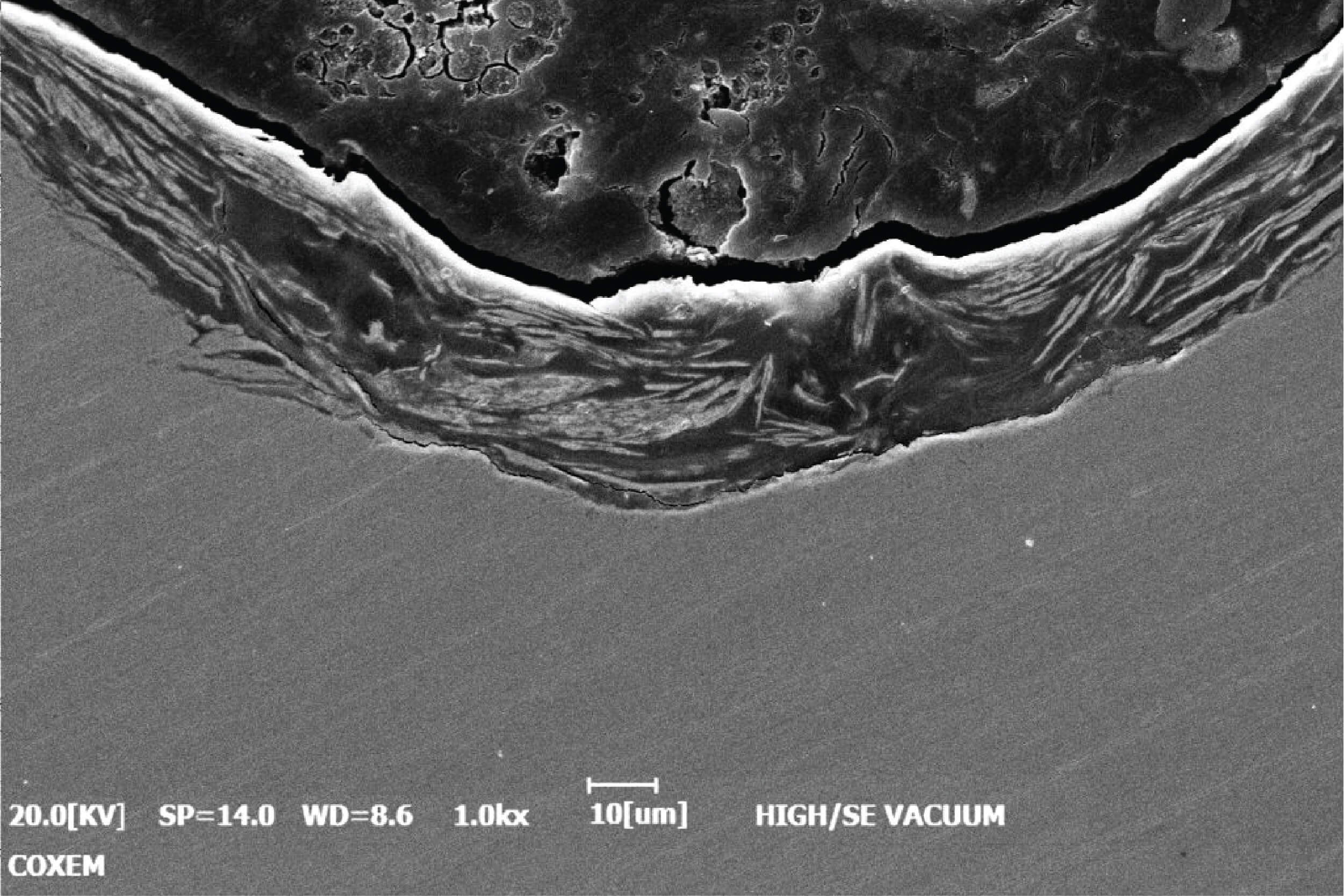 Table-top Scanning Electron Microscope (SEM EM-40)