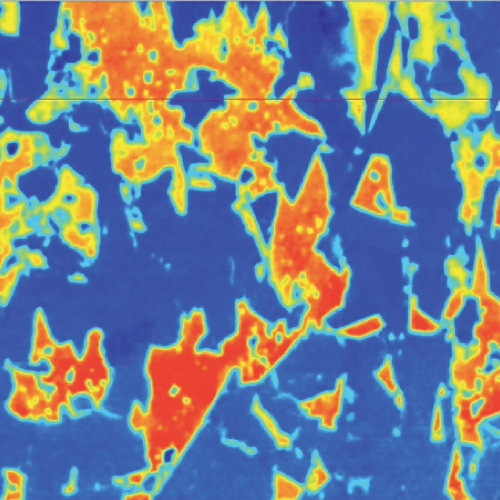 Atomic Force Microscope