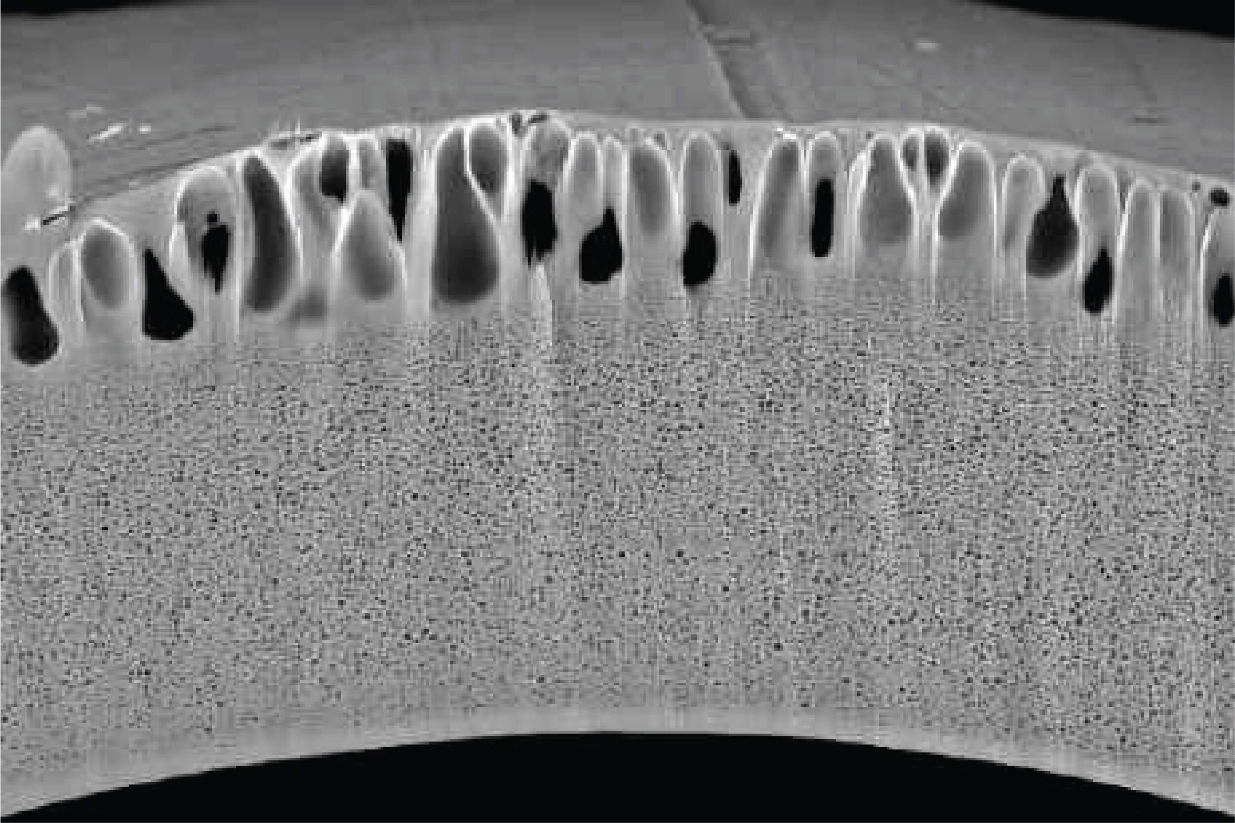 Cross-section Polisher