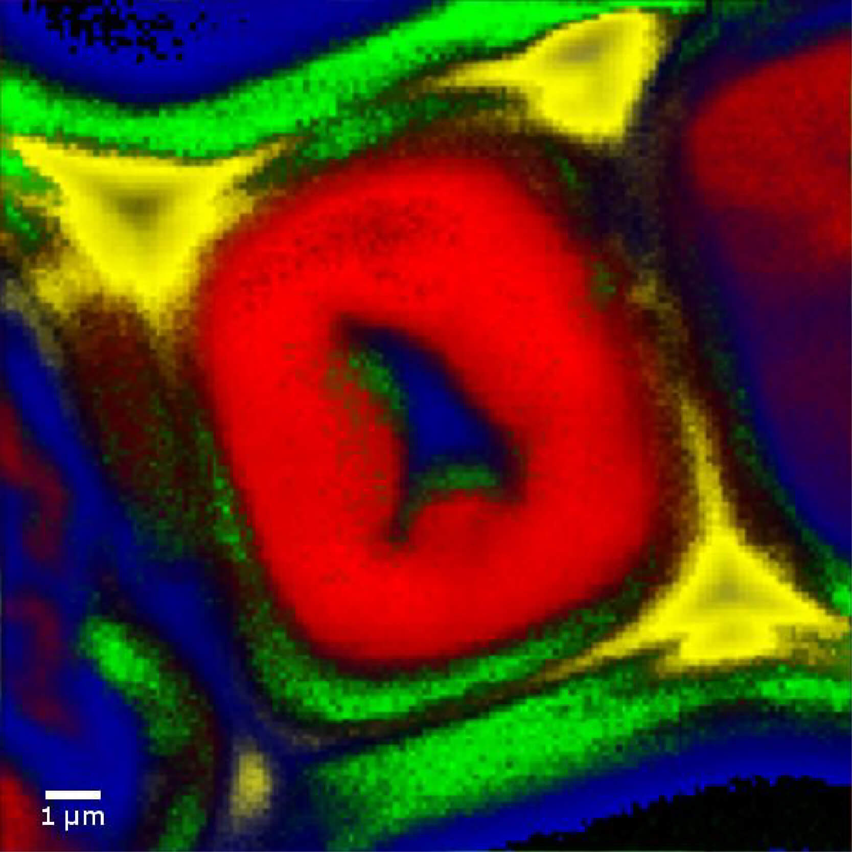 Raman Imaging Microscope