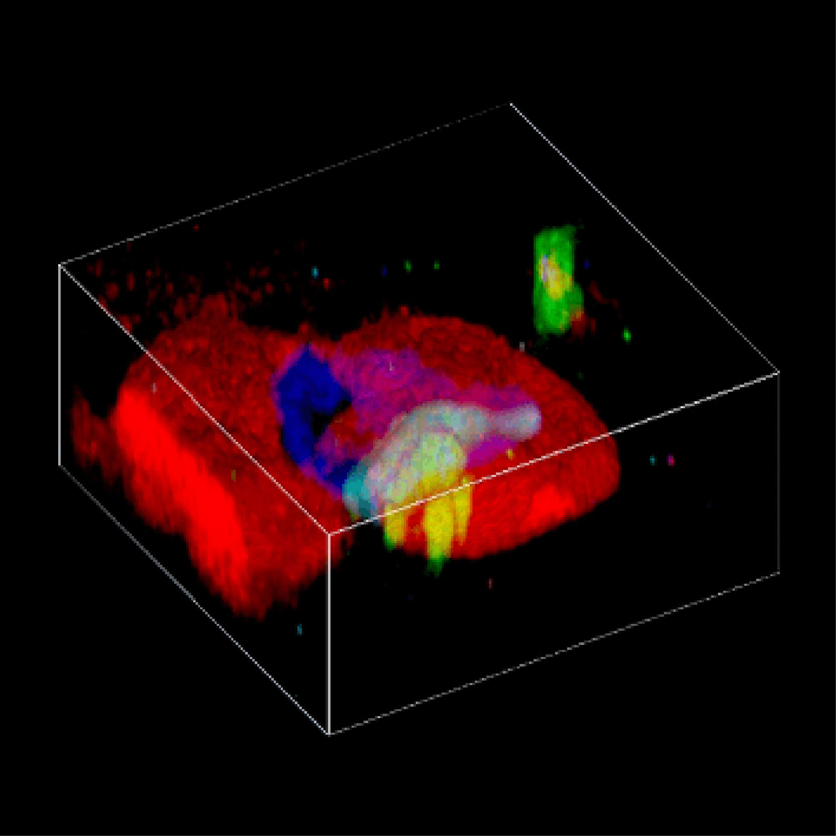 Raman Imaging Microscope