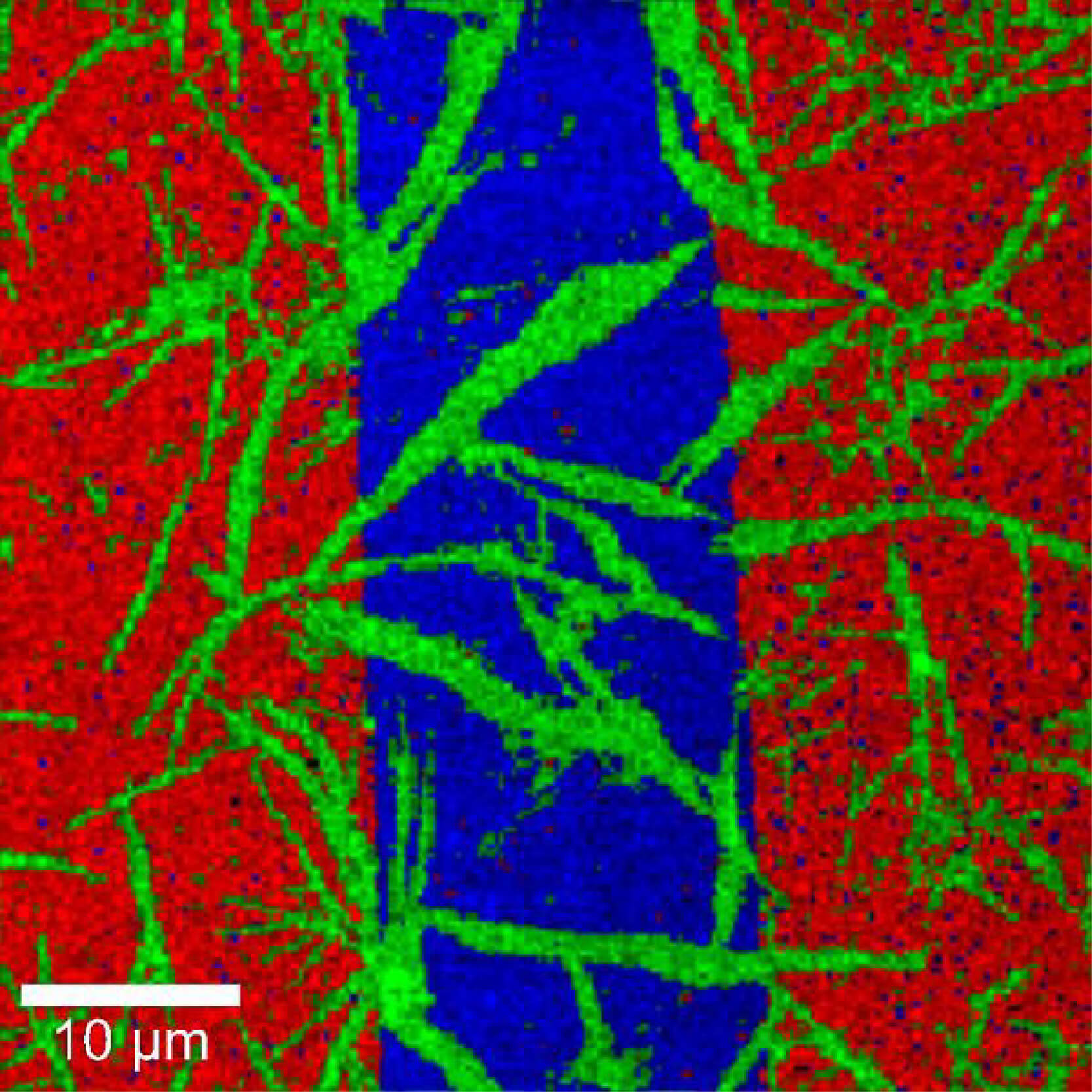 Raman Imaging Microscope