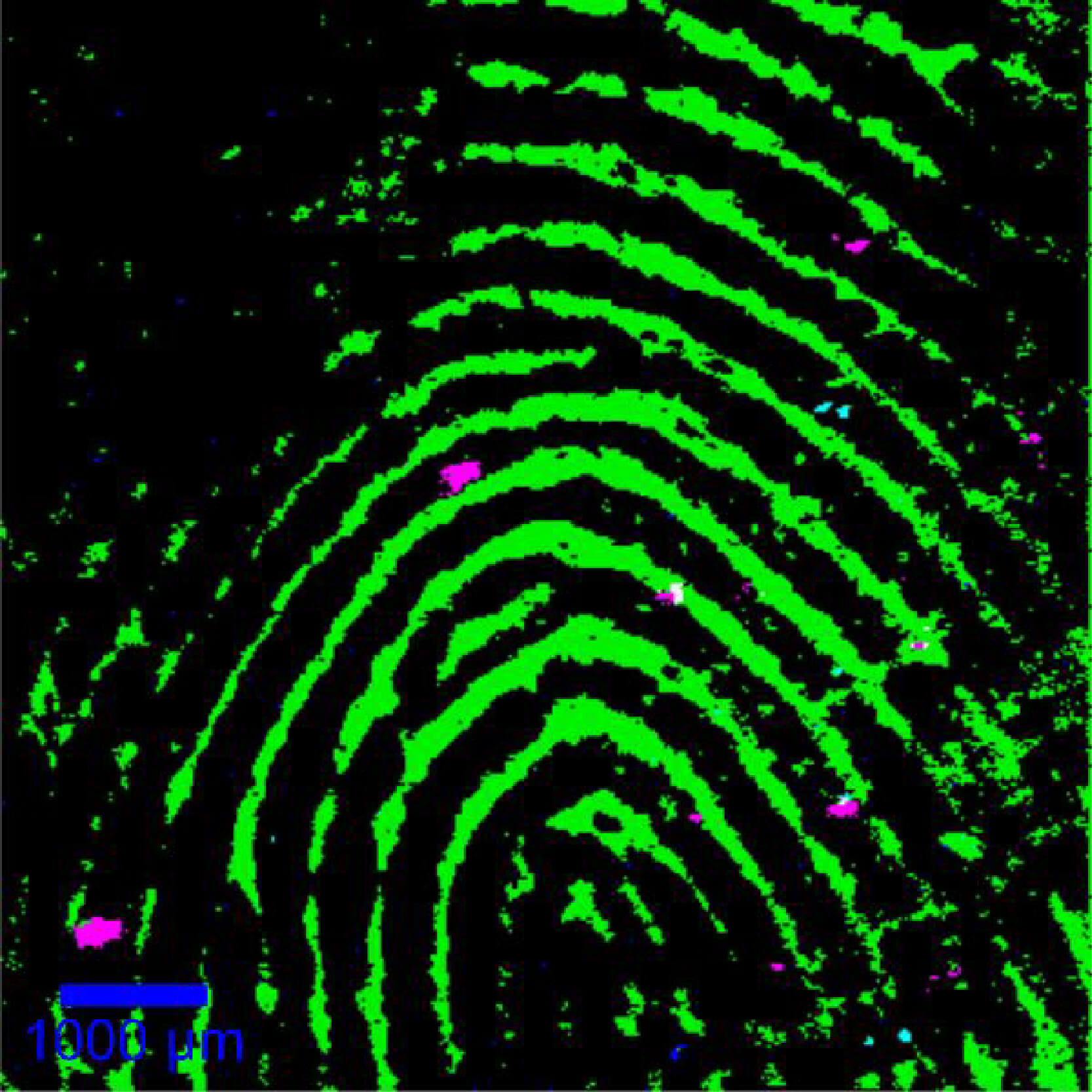 Raman Imaging Microscope